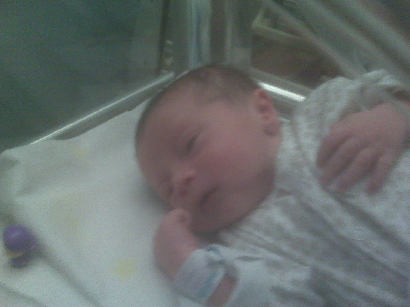 Jacopo