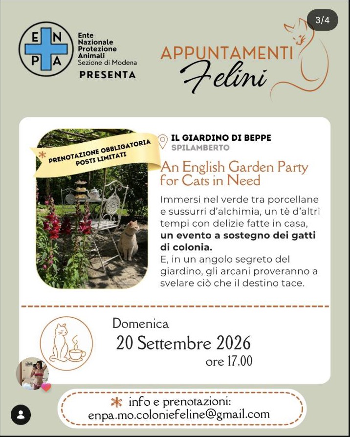 garden party gatti spilamberto
